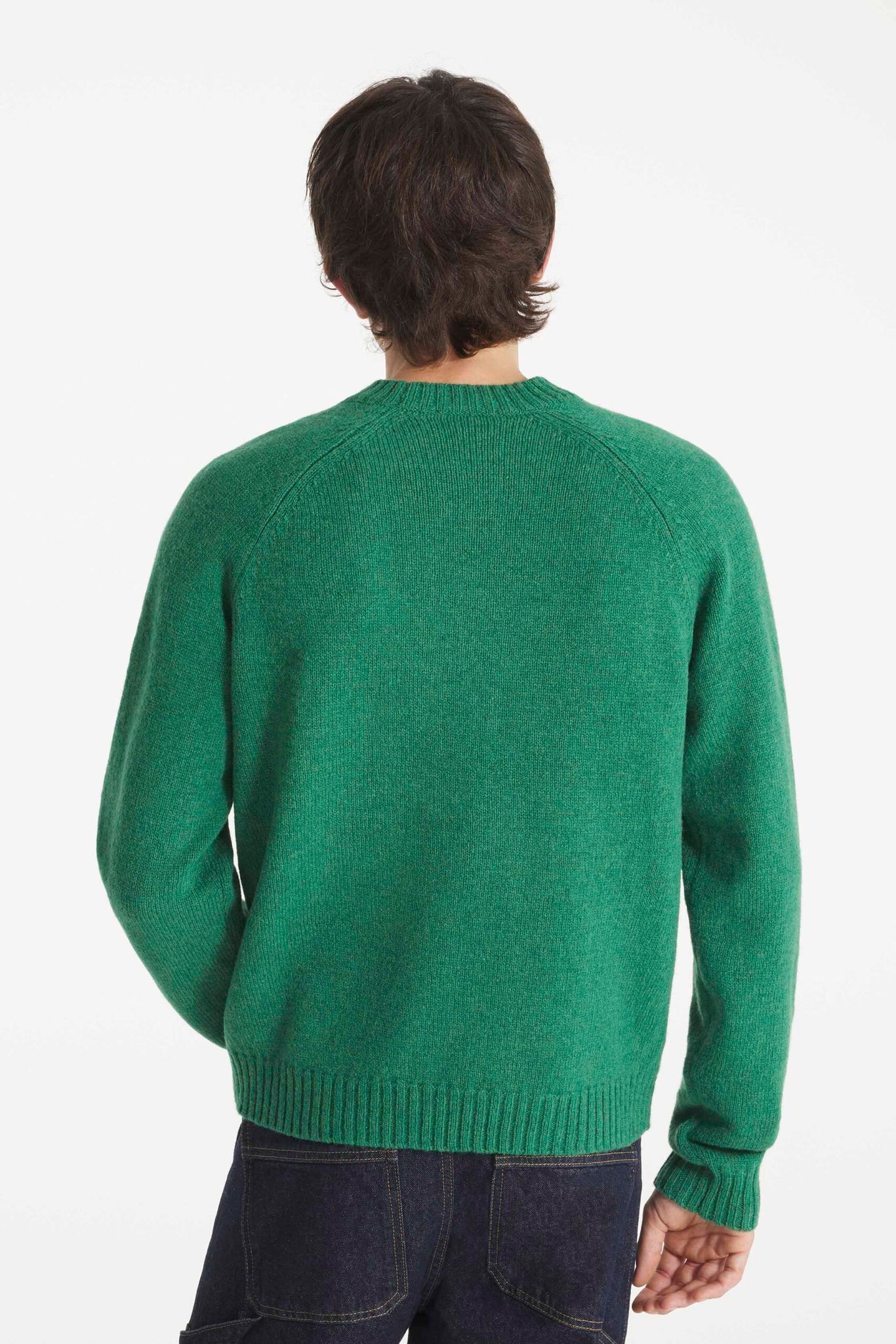 Striker-dog Intarsia Sweater — GREEN