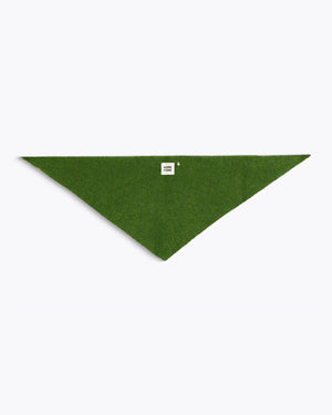 Baby Bandana Alpaca — LUSH GREEN