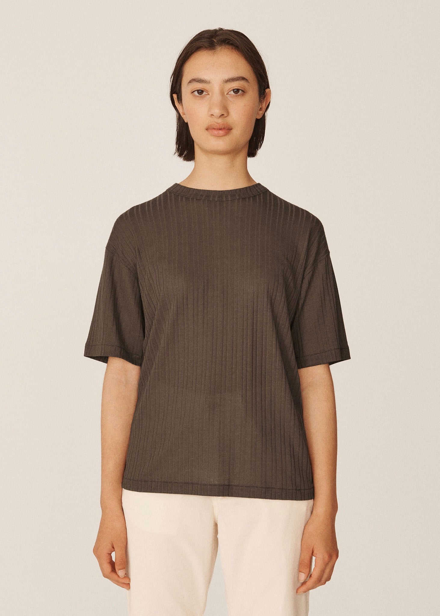 Triple Sheer Jersey T Shirt — BROWN