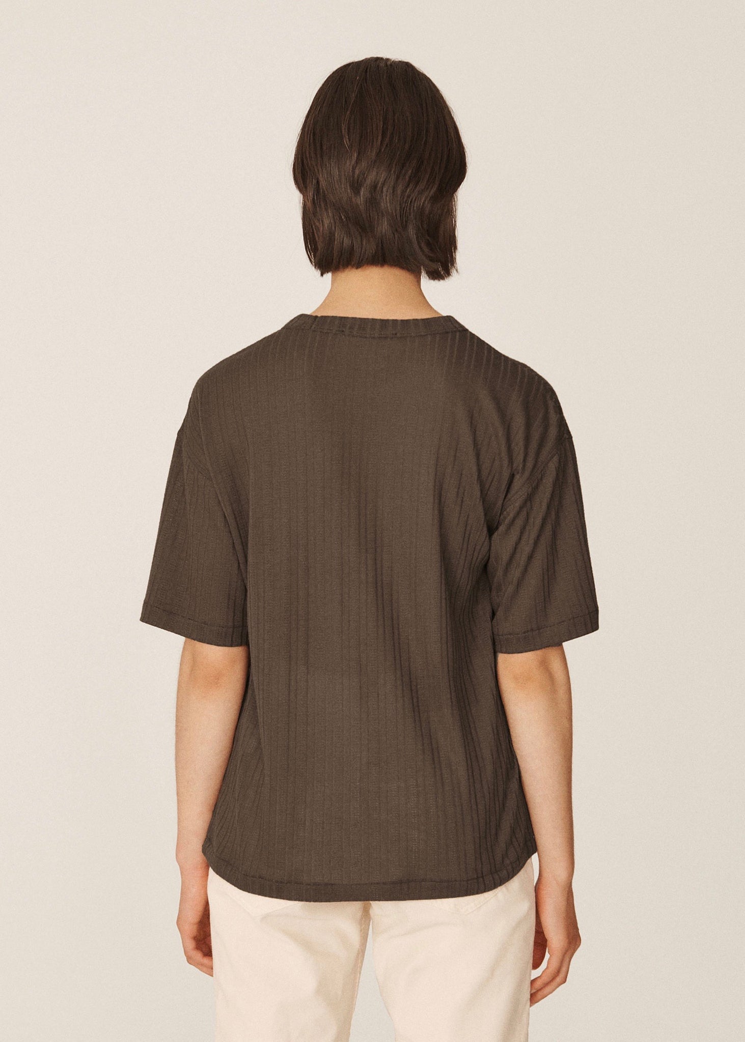 Triple Sheer Jersey T Shirt — BROWN
