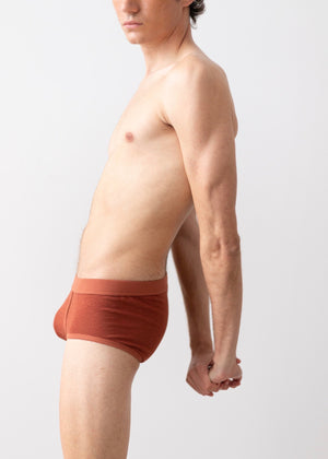 Briefs Denali — RUST
